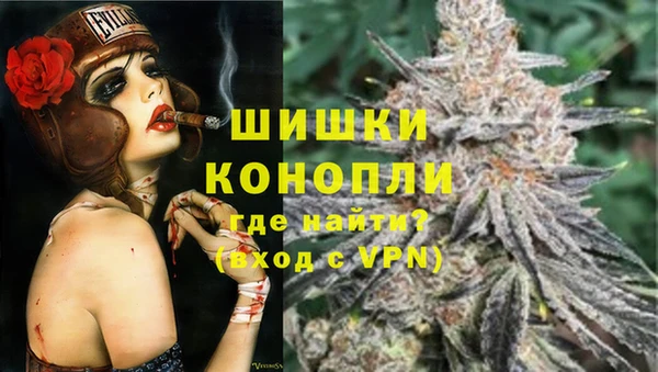 МДПВ Алексин